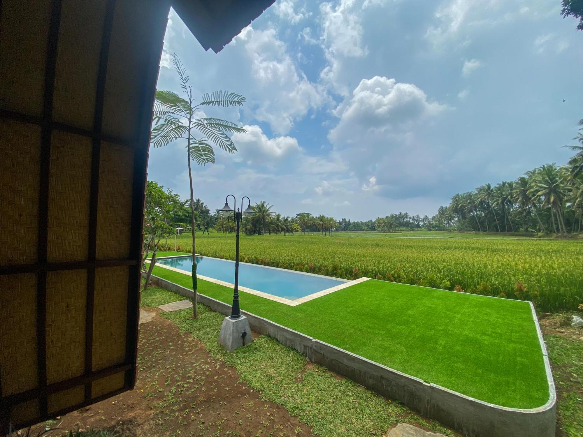 Adil Villa & Resort Ubud Exteriér fotografie